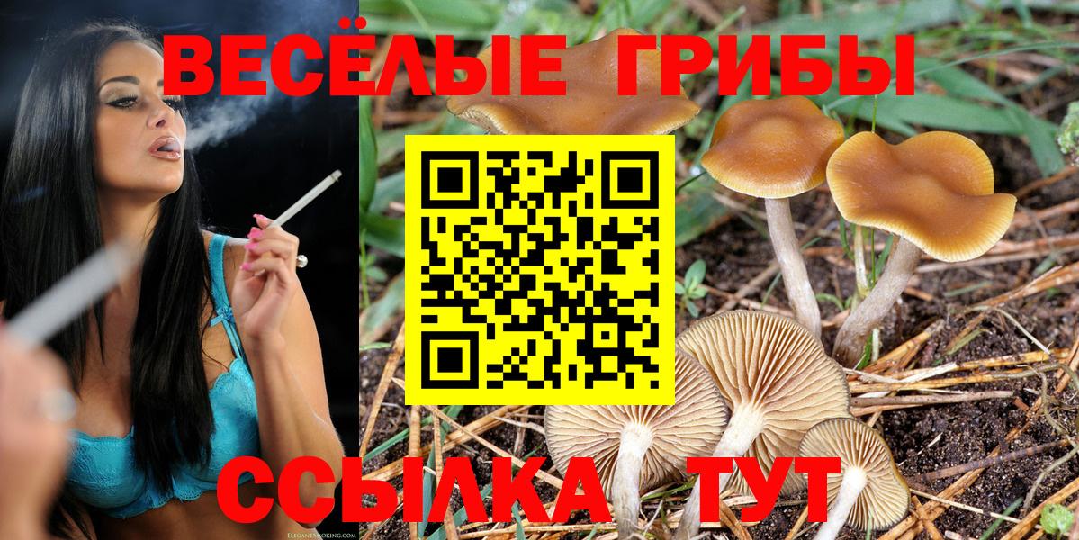 Галлюциногенные грибы прущие грибы Тельмана